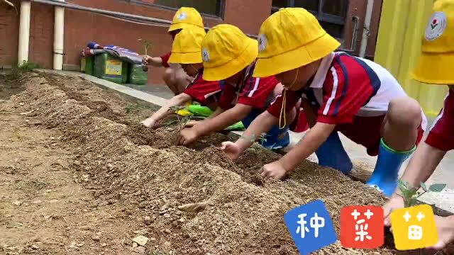 碧桂园十里银滩幼儿园2022秋季报名开启