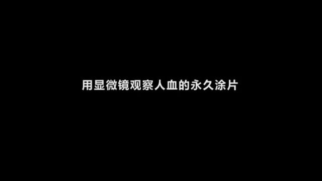 7.用显微镜观察人血的永久涂片