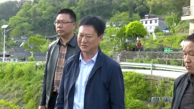 徐江到白土乡调研基层党建、旅游康养、农业产业等工作