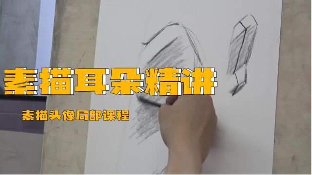 素描头像丨耳朵局部精讲课程