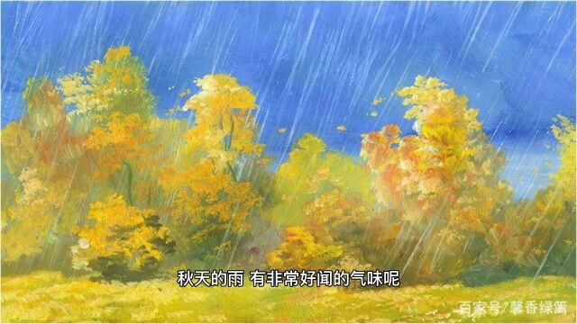 秋天的雨