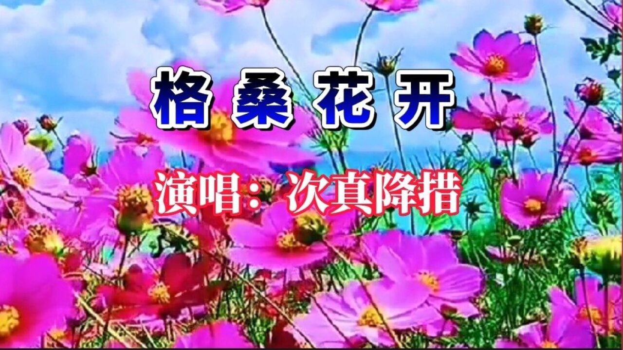 草原歌曲,次真降措演唱《格桑花開》,一起去看那山花爛漫