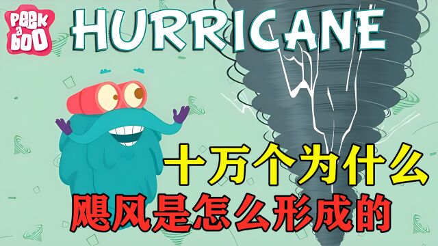 每年夏天都有台风,但是你知道台风是怎么形成的吗,是从哪来的吗