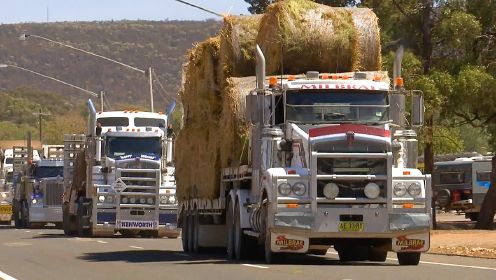 澳大利亚卡车车队，带138吨饲料和8辆公路列车，走3500公里去抗旱