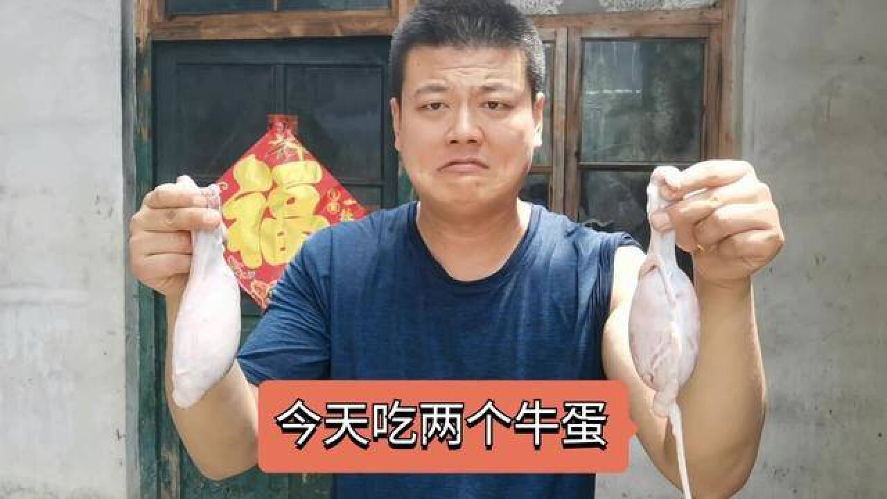 农村小伙第一次吃牛蛋,煮了两个牛蛋,吃的面部扭曲
