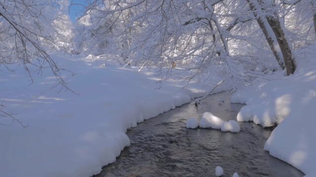 雪景素材