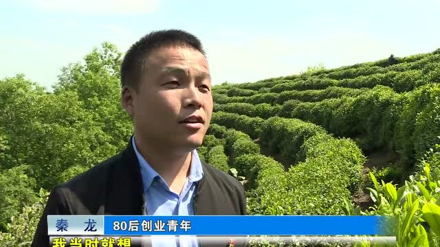 【奋进新征程 建功新时代▪奋斗的青春】80后创业青年秦龙:让青春像清茶一样馥郁芬芳