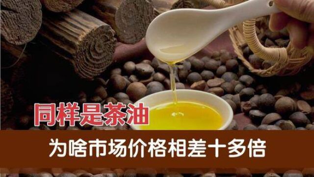 茶油果大跌52%,茶油营养丰富,现在为啥吃茶油的人少了