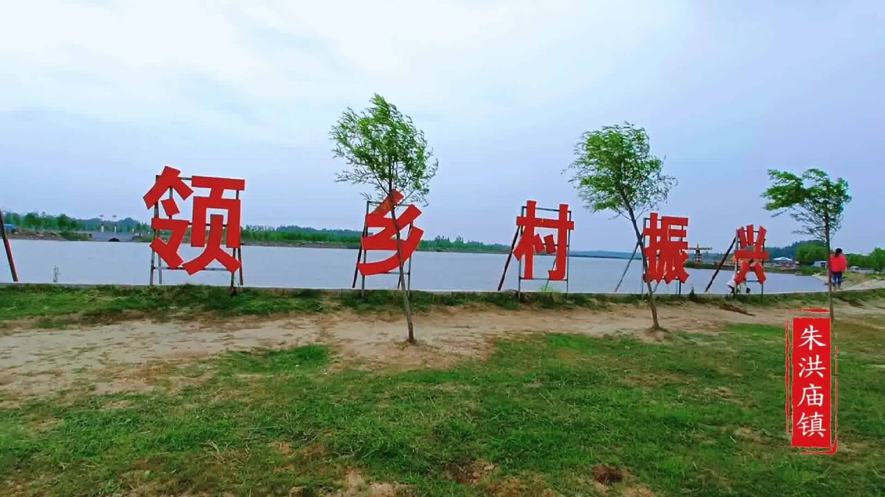 山东菏泽朱洪庙镇:黄河故道舞春风