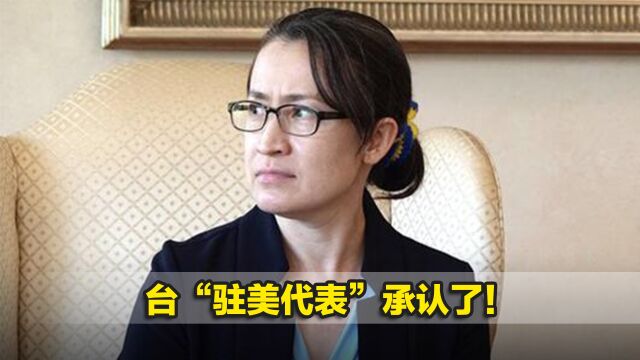 承认了!台“驻美代表”:美方未同意台湾参与“印太经济框架”