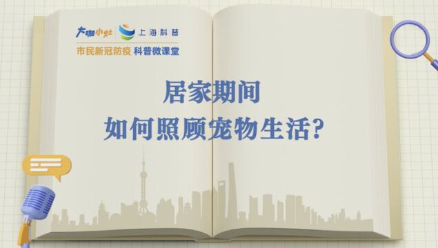 居家期间,如何照顾宠物生活?