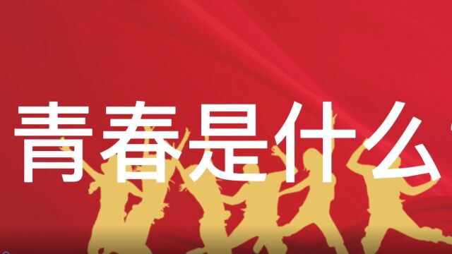 “青”力而为 逐梦前行——直属分局庆建团100周年