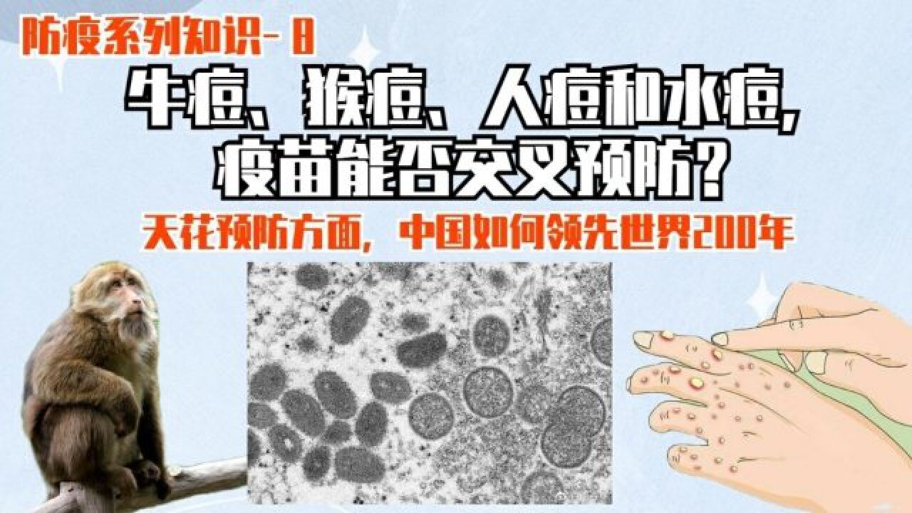 牛痘、猴痘、人痘和水痘,疫苗是否可以交叉预防?_高清1080P在线观看平台_腾讯视频