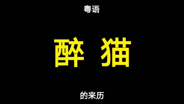 【粤语】把饮醉酒的人称为“醉猫”,原来是这个原因