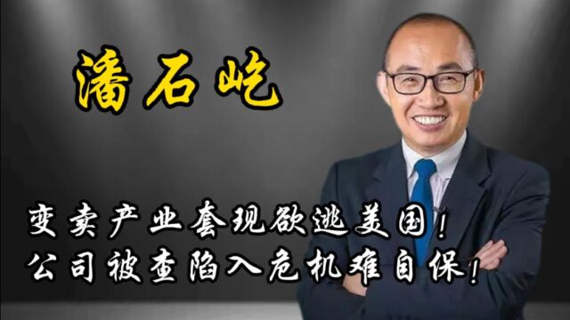 国家重拳出击!潘石屹名下公司被立案调查,休想出逃!