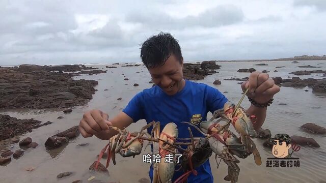 赶海者阿明图片