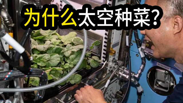 为什么中国热衷在太空种菜?上过太空的种子有什么不一样?