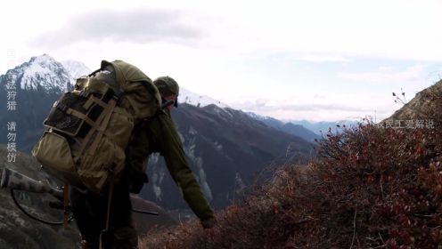 纪录片：肉食猎者：狩猎棕熊