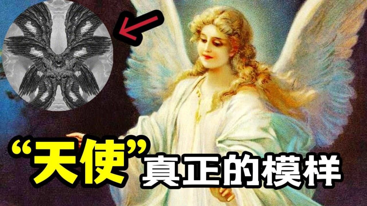 天使的真实长相,据说恶魔看见都要吓破胆.