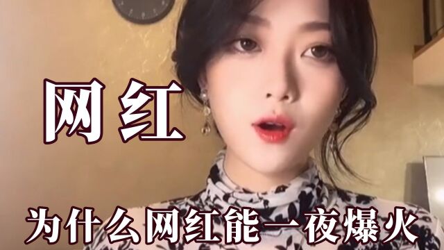 为什么这些网红能一夜爆火?程佳佳让人不得不爱,麦小兜实力超强