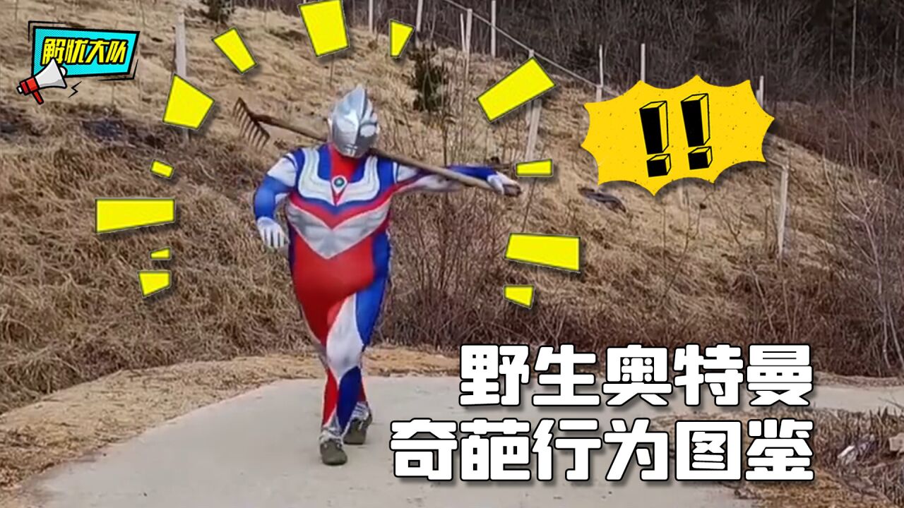 野生奥特曼迷惑行为,看得我是晒干了沉默