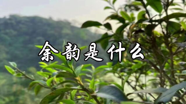 普洱茶的余韵主要是指余意未尽之意,简言之“后味”,既滋味是在饮时捕获,而韵是在饮后显现.