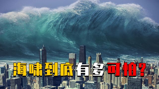 海啸到底有多可怕?它是如何形成的?遇到海啸我们又该如何自救?