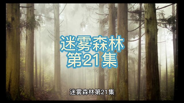 迷雾森林第21集