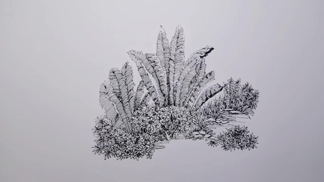 【钢笔画】植物小景速写,还是喜欢这种风格!