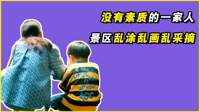 这一家人太没素质,景区乱涂乱画乱采摘,结局大快人心!