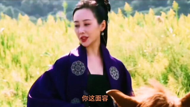 《雪中悍刀行》之轩辕青峰.敢笑举国无丈夫,谁说女子不如男