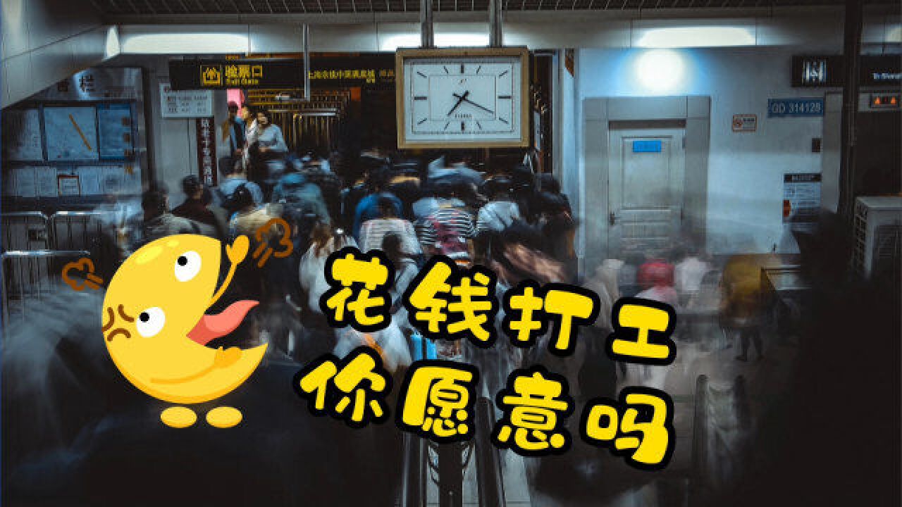 自费当苦力,"付费上班"模式来袭,史上最难就业季的新思路,你能接受吗?