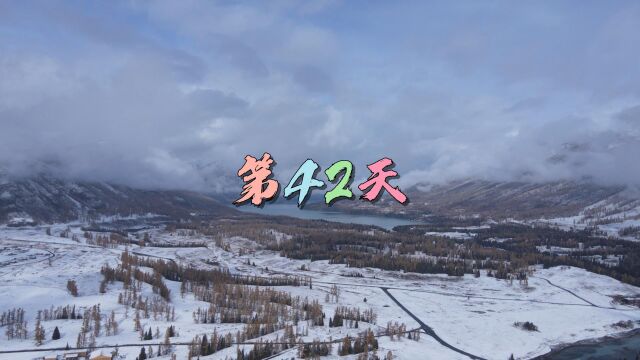 游记|第42天:雪中的喀纳斯