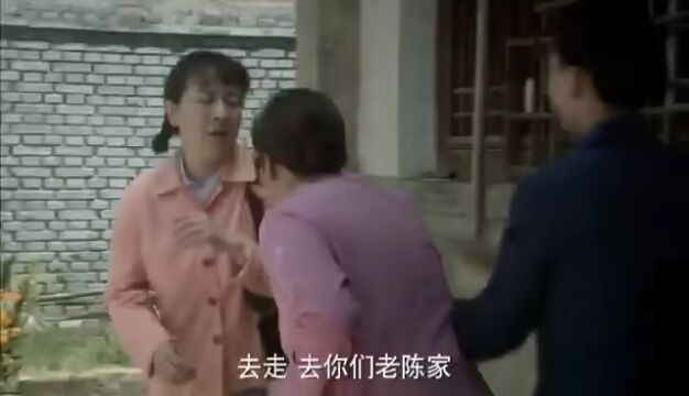 新剧推荐 | 《我的父亲母亲》家庭情感伦理大剧