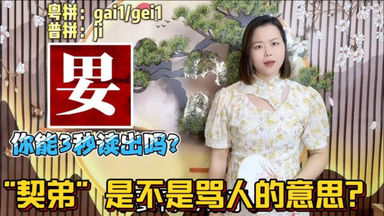 广东人说的契弟、是什么意思吗?今天终于知道由来_高清1080P在线观看平台_腾讯视频