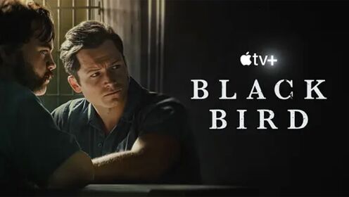 《黑鸟》，续集终于更新了