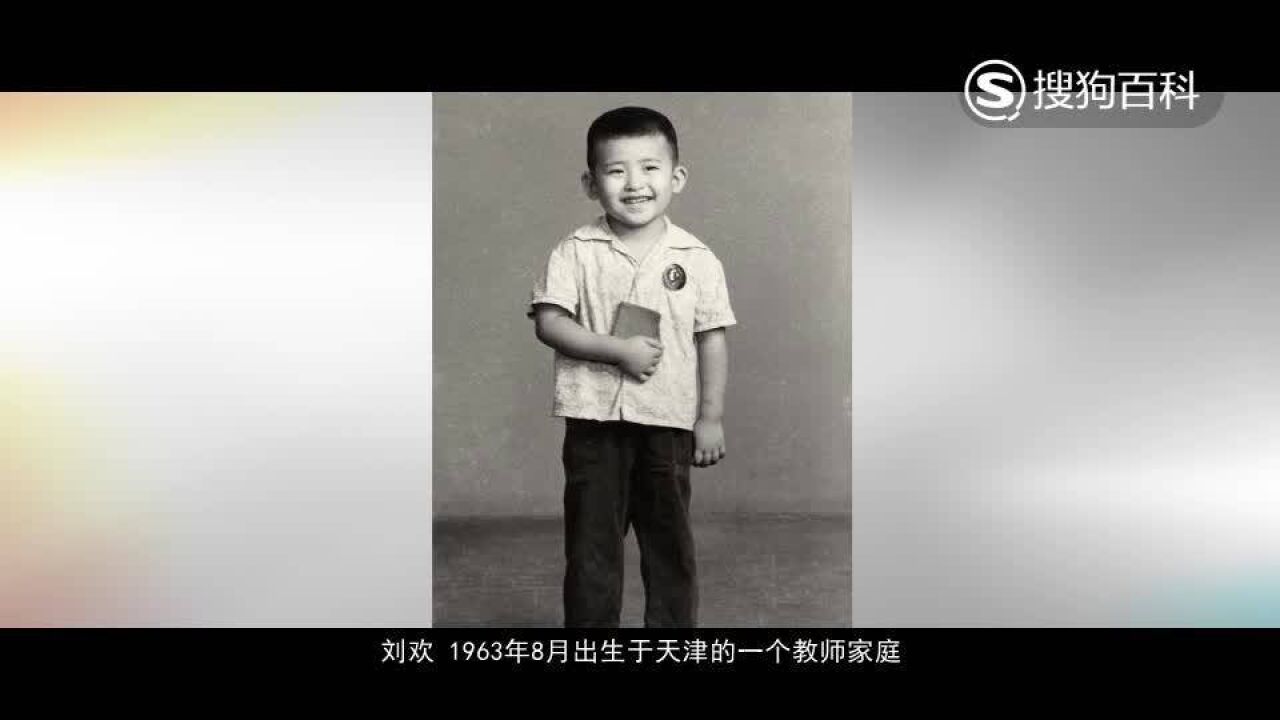 刘欢(中国内地流行音乐家)_搜狗百科
