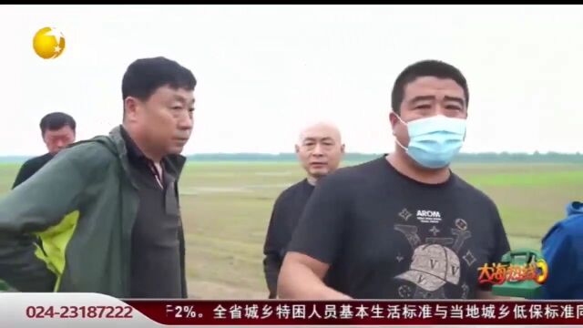 沈阳市铁西区无人机施肥副镇长不同意致3000亩土地撂荒