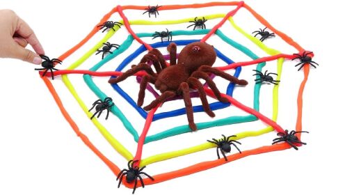 橡皮泥玩具系列:利用橡皮泥制作蜘蛛网