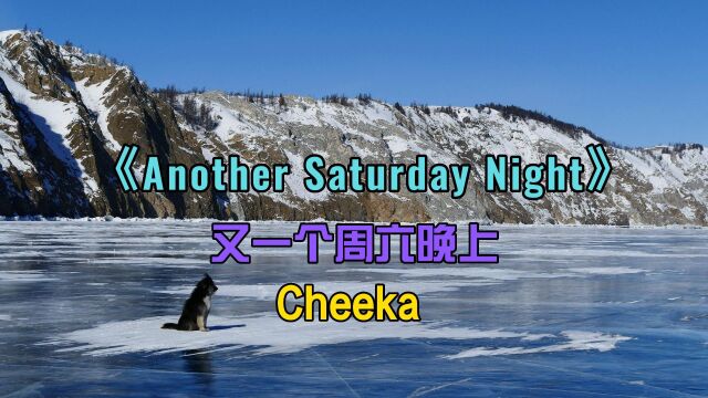 英文歌曲《Another Saturday Night》又一个周六的晚上 #英文歌 #欧美歌曲 #环绕音乐