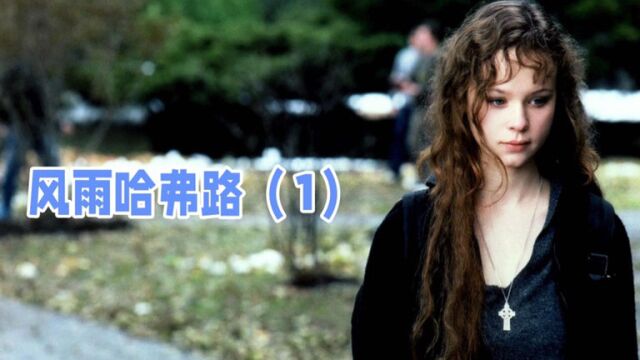 『风雨哈弗路』感动全球最美女孩,逆天改命考上哈弗大学