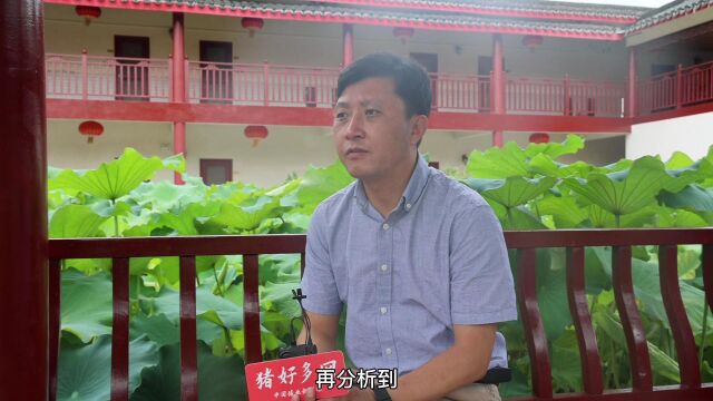 在“为你养好一头猪”项目中,家育可以为养殖企业提供什么服务?