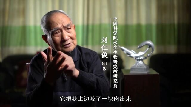 国家相册 | 请记住,它叫淇淇