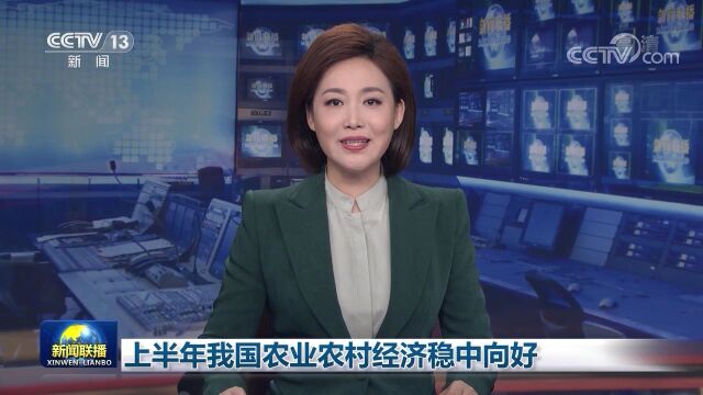 上半年我国农业农村经济稳中向好