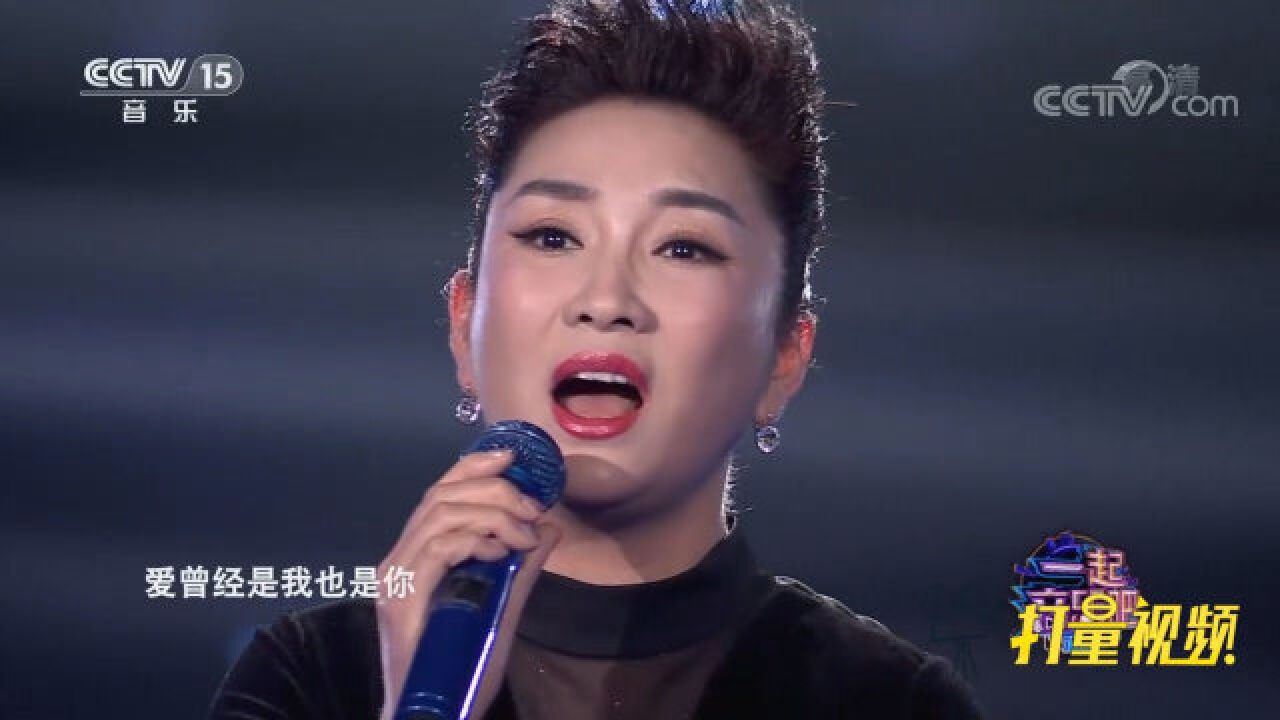 王娜演唱《爱的箴言》，深情的歌声征服全场_高清1080P在线观看平台_腾讯视频