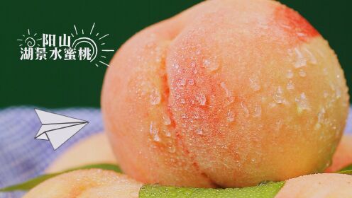 【天生吃货】一口咬出桃汁瀑布，阳山湖景水蜜桃浓甜首秀！