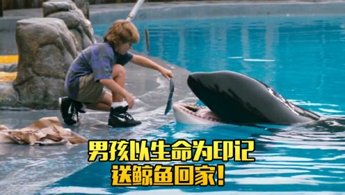 男孩以生命为印记，送鲸鱼回家，《人鱼的传说》！
