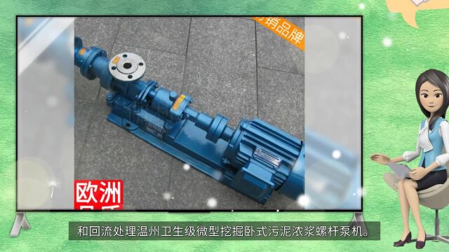 和回流处理温州卫生级微型挖掘卧式污泥浓浆螺杆泵机