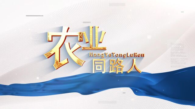 中农化股份2022年中会视频