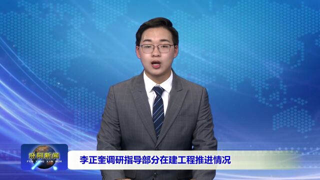 李正奎调研指导部分在建工程推进情况